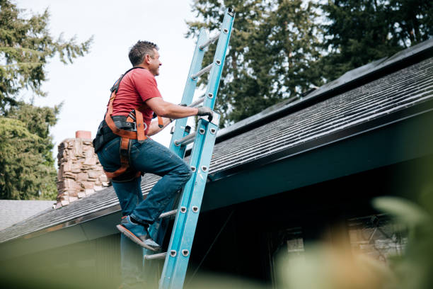 4 Ply Roofing in Winthrop, MN